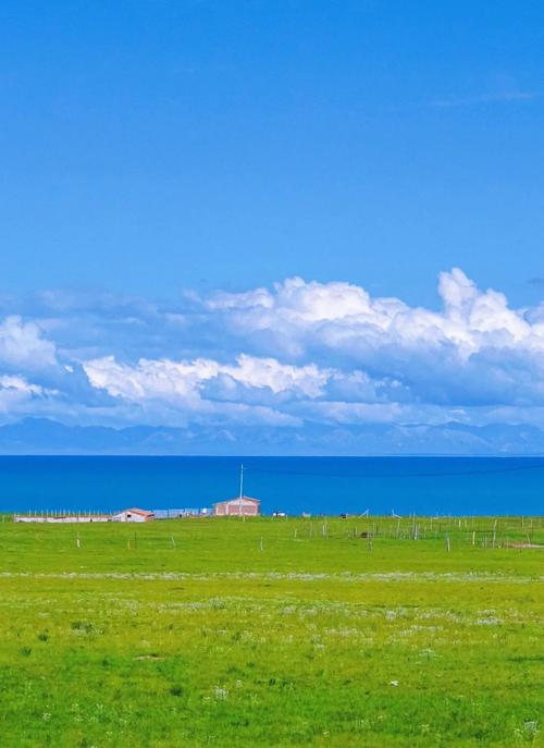 克隆侠站群介格